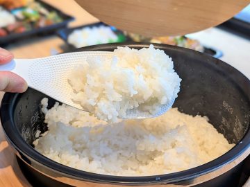 「え、これが炊飯器の実力！？」象印食堂の「炊きたてご飯」のおいしい理由