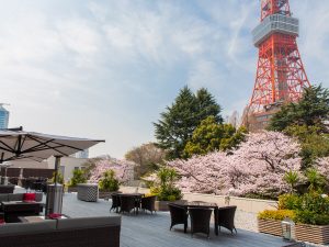人気ホテルで桜と美食を楽しもう！ 2025年花見シーズン限定アフタヌーンティー3選