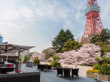 人気ホテルで桜と美食を楽しもう！ 2025年花見シーズン限定アフタヌーンティー3選