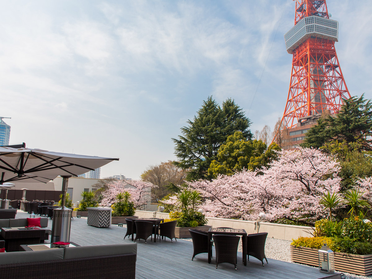 人気ホテルで桜と美食を楽しもう！ 2025年花見シーズン限定アフタヌーンティー3選