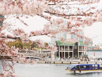 2025年は水上で楽しむ花見が人気。東京・横浜で注目の「桜鑑賞クルージング」4選