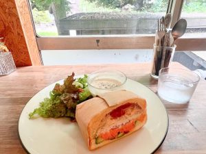 【南北線カフェ巡り】癒しのカフェ『cocofulu cafe』。わんぱくサンドと抹茶バスクチーズケーキでひと休み