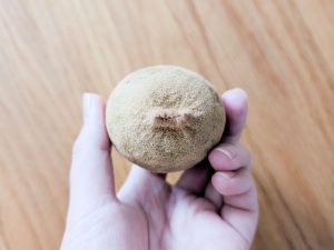 形は真ん丸よりも、少しくぼんだ楕円形が良し