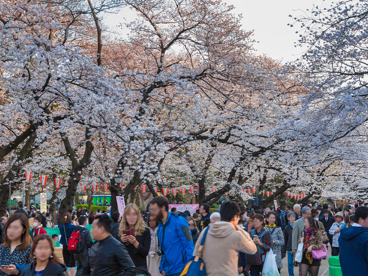 2025年の花見に訪れたい都内の絶景「桜スポット」5選