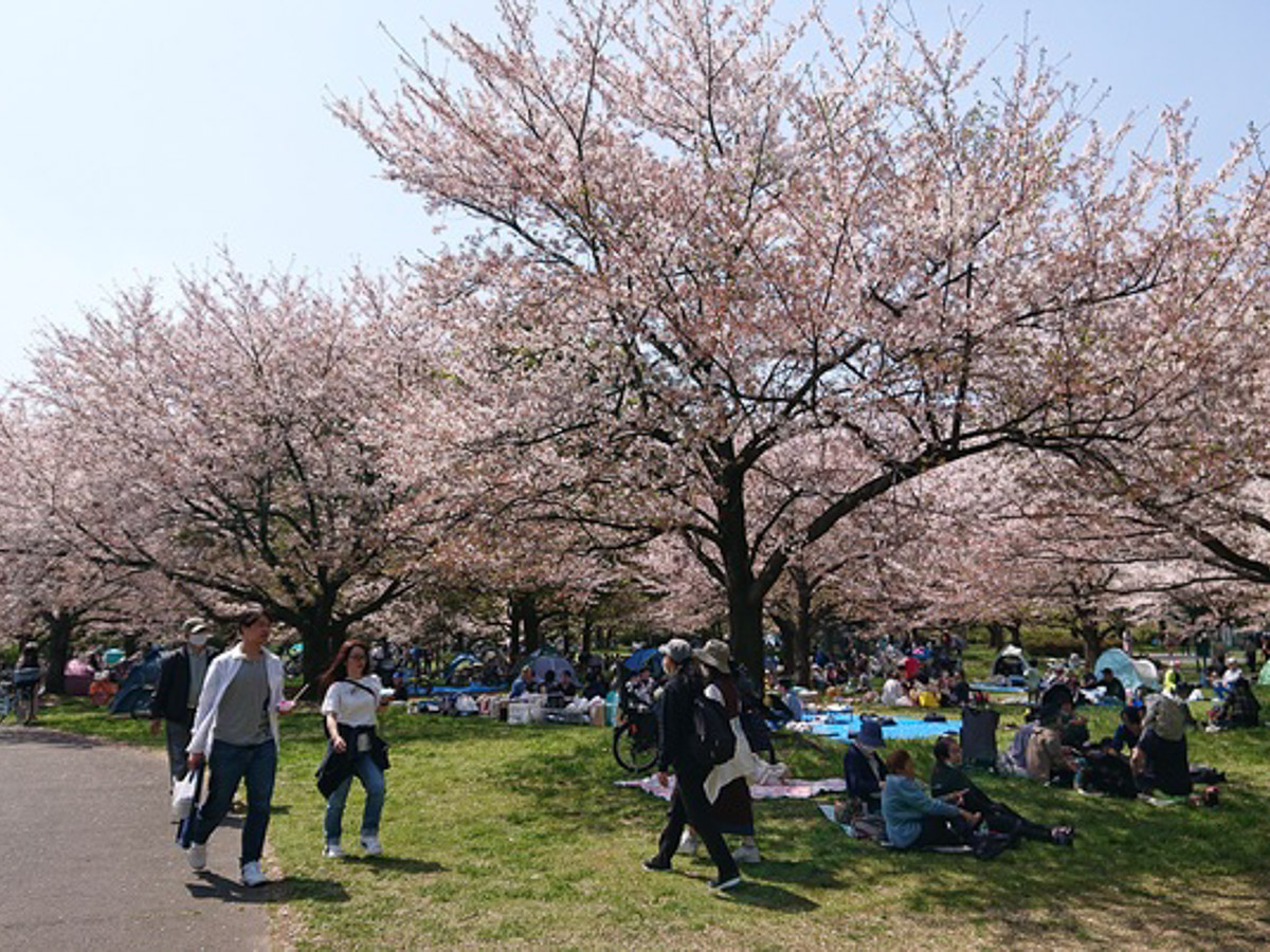 [食楽web]