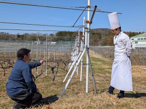 京都府京丹波町を中心に自社畑を持ち、北海道の壮瞥町（そうべつ）にも試験的な畑があるそう