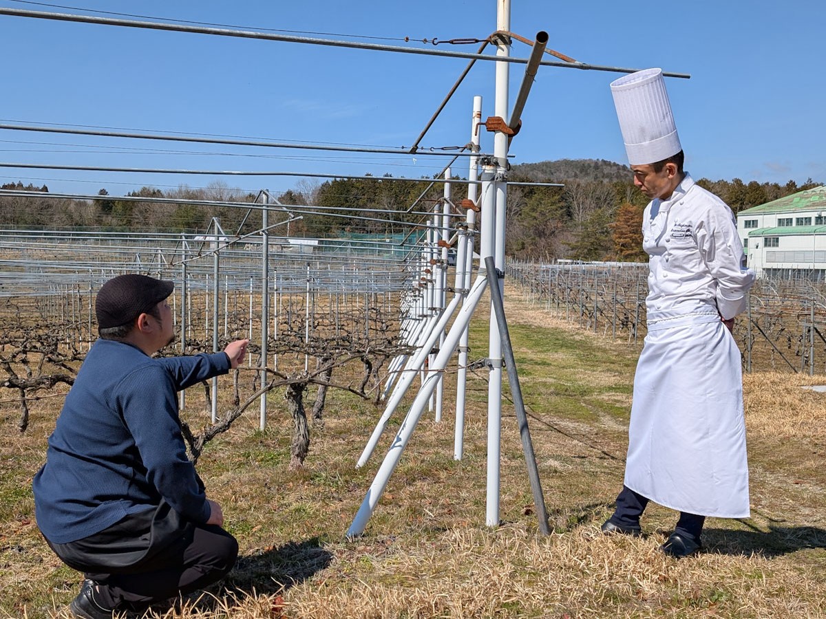 京都府京丹波町を中心に自社畑を持ち、北海道の壮瞥町(そうべつ)にも試験的な畑があるそう