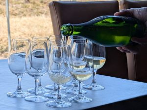 食前酒、乾杯の1杯目に。スパークリングワイン「てぐみ」