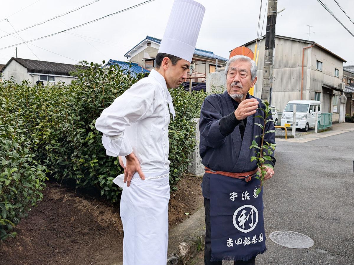 茶葉は「早生（わせ）」「中手（なかて）」「晩生（おくて）」に分け、用途や市場ニーズに合わせて栽培と収穫が行われています