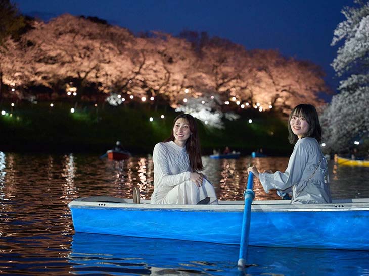 ボートから眺める夜桜はまた格別の美しさ!