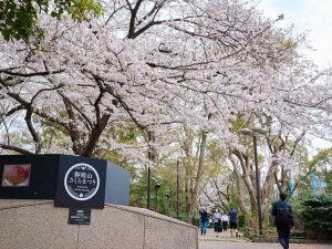 『御殿山トラストシティ』までは品川駅から無料シャトルバスも運行