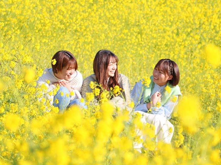 菜の花の囲まれたファンタジックな写真も!