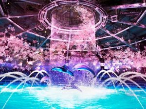 ドルフィンパフォーマンス ナイトver.「桜語り」※イメージ