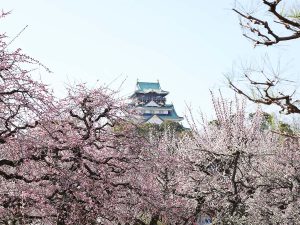 【大阪城】歴史×お花見×グルメを楽しむ！ 春に訪れたい絶景スポット＆話題の立ち食いそば