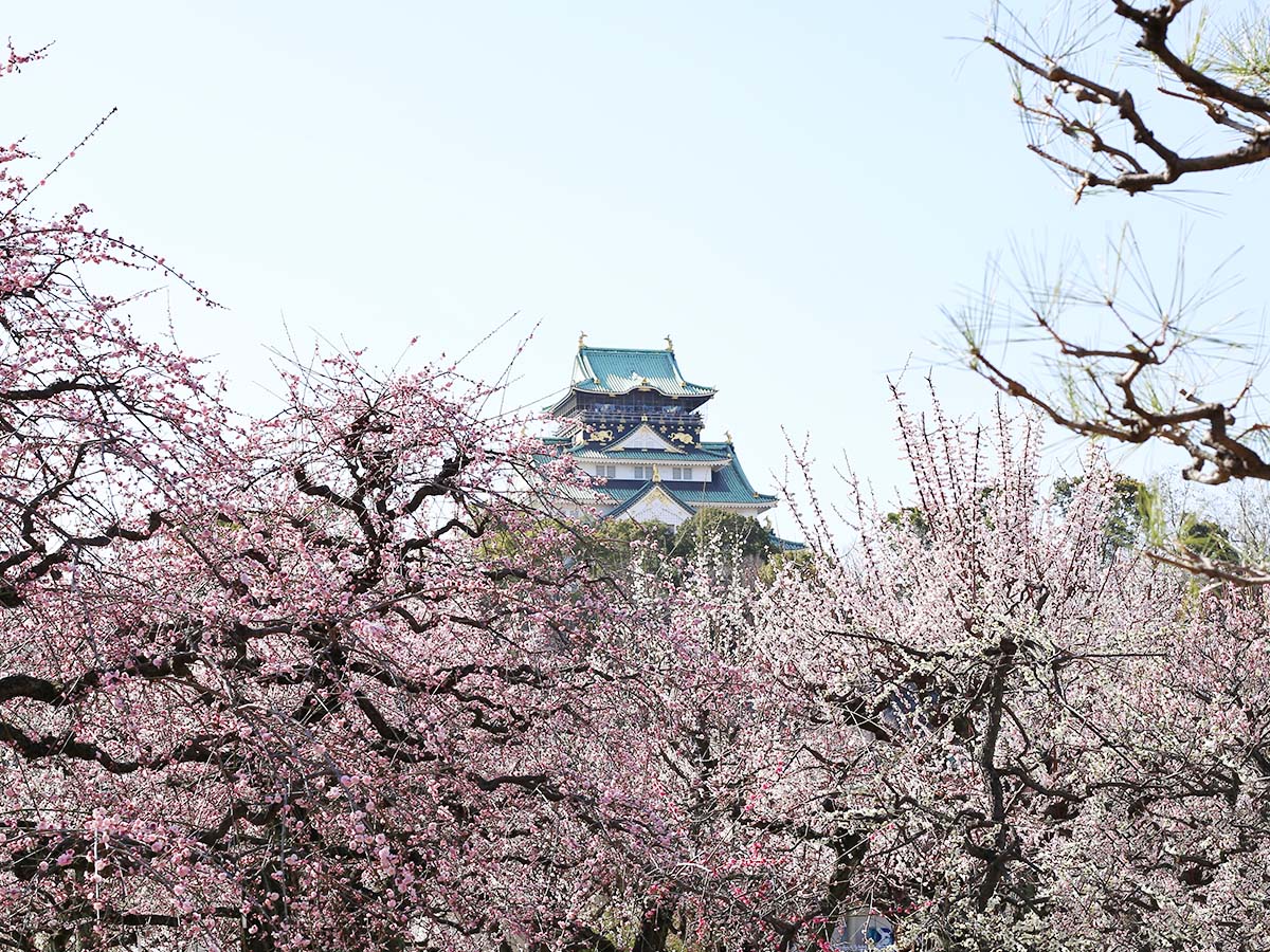 【大阪城】歴史×お花見×グルメを楽しむ! 春に訪れたい絶景スポット&話題の立ち食いそば