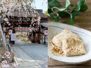 京都の春はここで決まり！ 人気の桜スポット「平野神社」と老舗の和菓子をめぐる旅