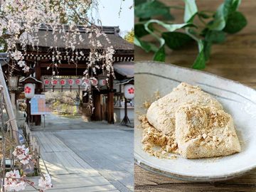 京都の春はここで決まり！ 人気の桜スポット「平野神社」と老舗の和菓子をめぐる旅