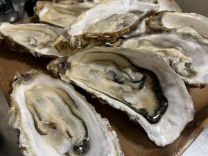 牡蠣に対する李錦記の基準は非常に厳しく、2〜3年養殖したものから何段階にもわたる選別を経て、特定の品種のみを採用
