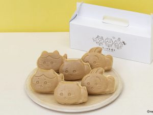 【Cセット（6個）】2,100円（税込） 全種類入り