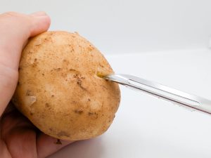 めんどくさい芽取りも縦型なら楽しい作業に