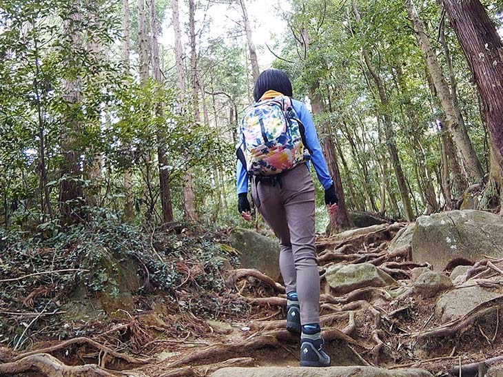 登山道の様子