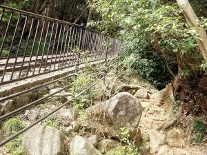 タイミングが合うとケーブルカーを見られます