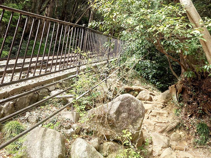 タイミングが合うとケーブルカーを見られます