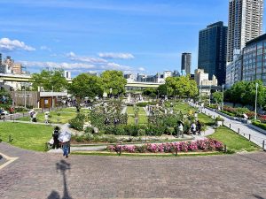 【大阪】中之島で過ごす大人の休日。バラ園、重要文化財、名物オムライスを巡る一日さんぽが素敵