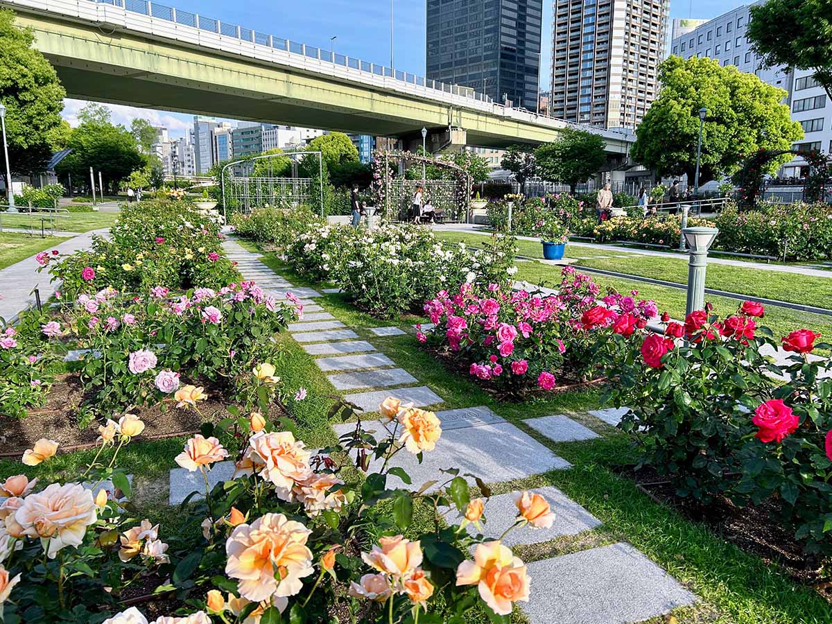 明治24年に大阪市で初めて誕生した公園