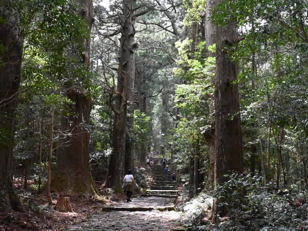 熊野本宮大の聖地につながる世界遺産の熊野古道。木漏れ日の差しこむ石畳の道が感慨深い