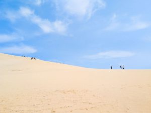 風が描く「風紋」や「馬の背」と呼ばれる高台も見どころ