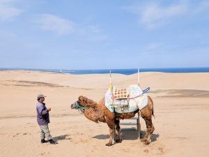 ラクダに乗って散歩したり、記念撮影したりすることもできます（※有料） [食楽web]