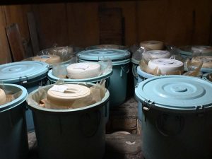 麹室で発酵される金山寺味噌