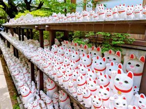 境内には参拝者の願いが込められた招き猫がたくさん