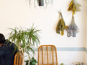 観葉植物やオシャレなウッド家具が並び、店内には穏やかないい空気が流れています
