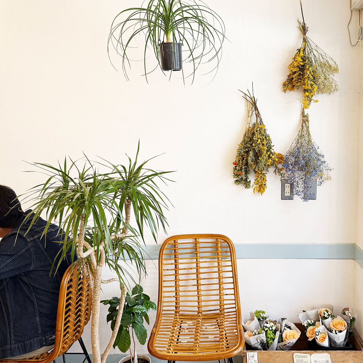 観葉植物やオシャレなウッド家具が並び、店内には穏やかないい空気が流れています