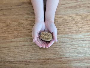 我が家では子どもの靴を洗う時に大活躍中