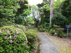 山上遊歩道。見晴し台や足湯スポットも