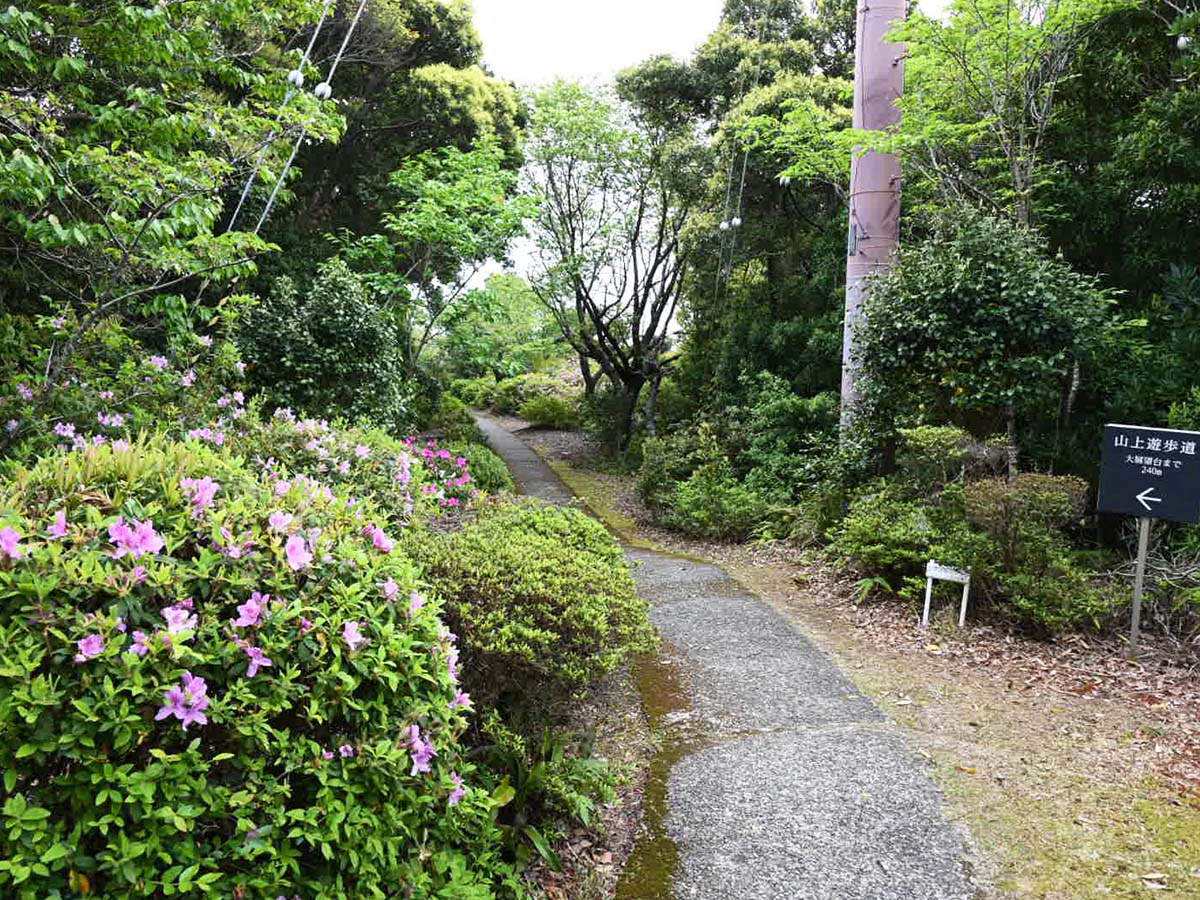 山上遊歩道。見晴し台や足湯スポットも