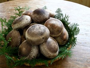 特に大きくて形の良いものは進物用になる