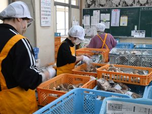 職員室で出荷の作業が行われていた
