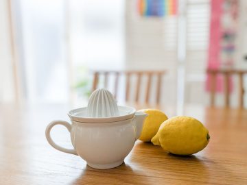 実用的な道具であり、凛と美しい器であり。東屋「ジューサーNo.1」が長く愛され続ける理由