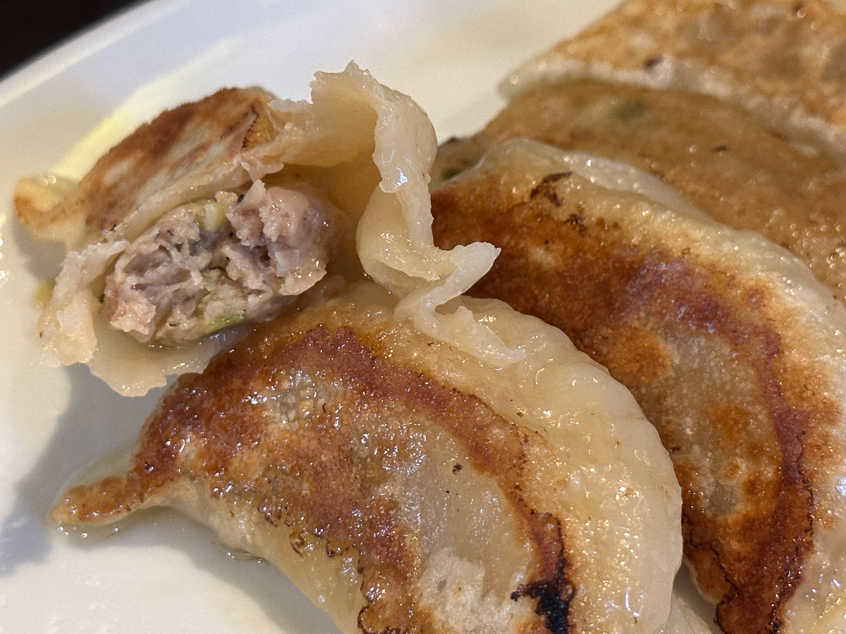 肉の割合が多いタイプの餃子
