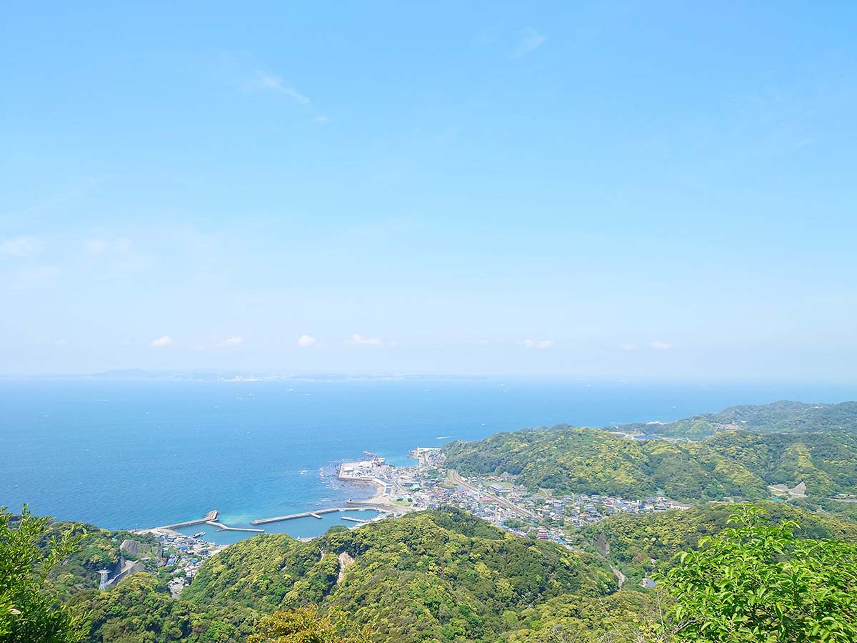 緑の向こうに金谷港が見える