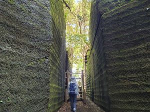 切通し跡。両側が高い石の壁に囲まれていた道