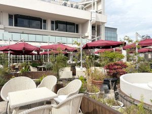 まさに天空のガーデン！ お店の窓枠やテーブル＆チェアが白を基調にしていて、グリーンにあふれた空間に癒されます