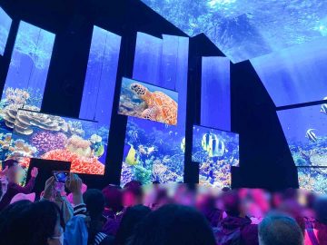 大阪・関西万博ライターがおすすめ！オーストラリアパビリオンで味わえるオージーグルメ