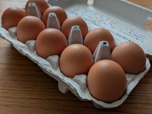 パックの中の並んだ赤玉の卵
