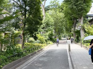 穏やかな空気が流れる大宮の氷川神社参道