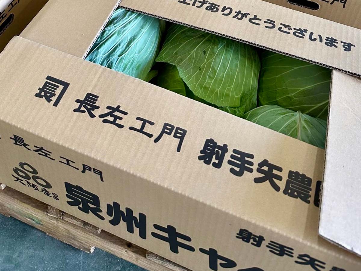 「プレミアム松波キャベツ」のシャキッとした食感と濃厚な甘みを存分に味わえる至極のお好み焼き